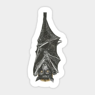 Fruit Bat Sticker